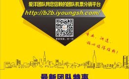 专访爱洋团队网创始人张玲玲COCO