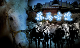 2015中国•百色茶马古道-中越边境全国徒步大会大幕将启