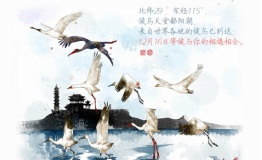 周大福会员“体验+”系列活动之观鸟招募令