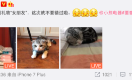 小熊电器双十二玩转保鲜营销蓄力年货节