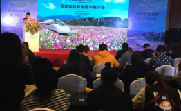 昆明赴南宁推介高铁旅游