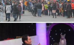 闭幕周！冰雪王国之胡桃夹子主题乐园倒计时