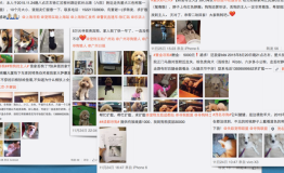 高科技定位防宠物走失PetCare四重定位显威力