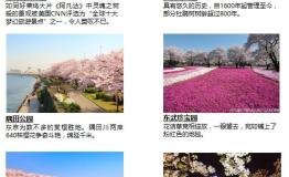 东京春日赏花祭——穿越历史感受绚烂
