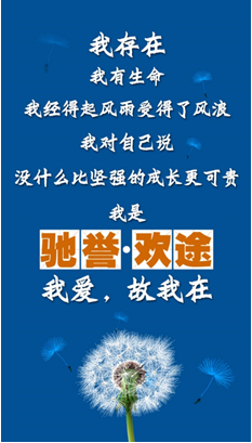 “专家”你好，我是驰誉·欢途