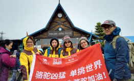 骆驼从北极去南极竟然都是为了一只猫