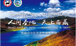 阿佳组合在优酷直播带你玩转藏博会