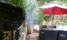 雪后天晴，东部华侨城刷新另一波朋友圈美景