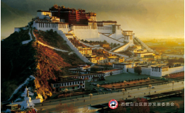 3万网友强势围观藏博会网络直播