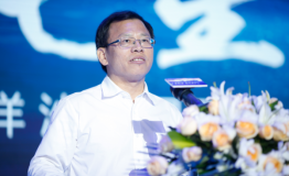 直击洋沙湖国际旅游度假区发布会湖南旅游航母扬帆启航