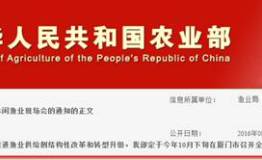金秋十月，点亮休闲渔业，聚焦鹭岛！