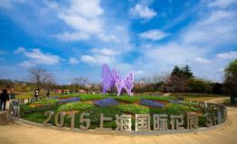 2015上海（国际）花展即将落幕，家庭园艺概念深入人心