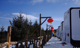 蜗窝营地成立全国首个全日制营地管理专业