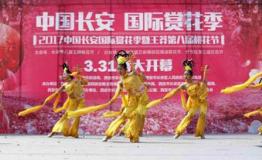 2017中国•长安国际赏花季开幕  三大主题花海开启视觉盛宴