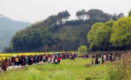 清明小长假，帆影渔歌小镇的“童话田园，多彩规溪”引万人纷至沓来