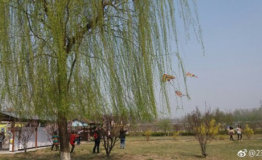 周末浪迹津城最全技能Get