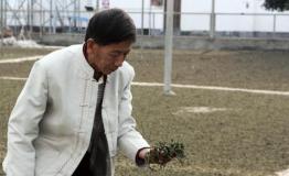 从复兴家族到制茶技艺 戎氏的九大创举