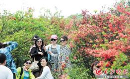 不负春色 长沙四月赏花地