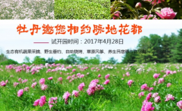 倒计时开启：武汉大变样，且看脉地花都如何撑起整个武汉颜值