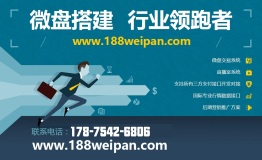 哪些公司可以提供微交易软件的定制、出租服务？