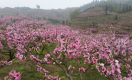 鄱阳湖外的桃花源竟这么美