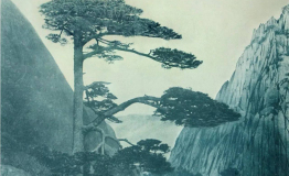 带您了解黄山迎客松: 图说迎客松百年
