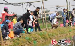 五一去哪玩 湖南这些地方适合亲子自驾游（图）