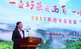 一壶好茶迎西商 一片赤心建家乡  西乡首届“西商大会”隆重举行
