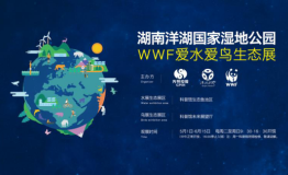 湖南洋湖国家湿地科普馆五一开始对外免费开放
