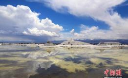 全国旅游今接待5250万人次 实现旅游收入310亿元