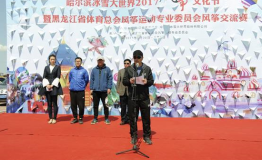 哈尔滨冰雪大世界2017风筝文化节5月1日圆满落幕