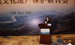 龙陵县举办抗战文化遗产保护研讨会