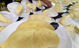 欢迎水果控们来曼谷榴莲放題 “Quartier Durian Festival”
