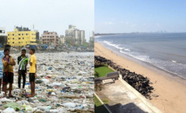 耗时两年！印度志愿者将垃圾沙滩变金色海岸