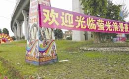 成都一景区欲举办放飞10万萤火虫活动 被紧急喊停
