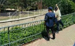 两名男游客在公园捡石块打白虎白狮：只为拍照片