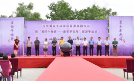 兴化爱家千垛景区开园仪式——暨“爱的千垛紫—薰衣草花海”旅游季启动