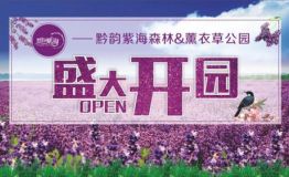 道真黔韵紫海盛大开园，活动精彩纷呈