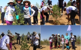 包商银行私人银行部库布齐举办公益植树活动为沙漠筑绿