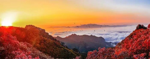 丹东:天桥沟枫叶文化节十一黄金周期待您的莅