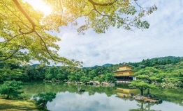 处女星号秋季“枫花雪月”航线，邀您以快门“狩”秋