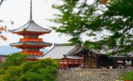 京都游佳能微单EOS M6伴我行 不错过每一个精彩
