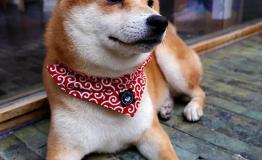 佳能微单M100 高清画质随心拍