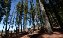 走进南非Cape Epic 感受充满激情的山地环法赛
