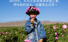 重磅：伊朗芳香游学+旅游，幸得识卿，阡陌暖春！