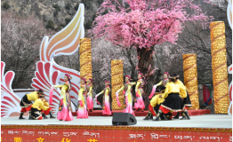 这个春天，来雅鲁藏布大峡谷，共赴一场桃花盛宴