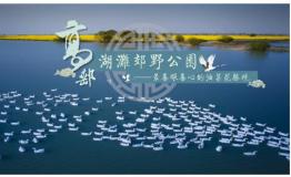 千万和春住！高邮湖郊野公园·湖上花海盛大开园！