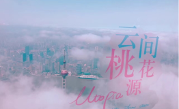 2018上海中心与上海桃花节携手打造“云间桃花源”特别展览