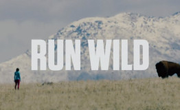 从心出发，放肆开跑 JAYBIRD推出全新跑步大片《RUN WILD》