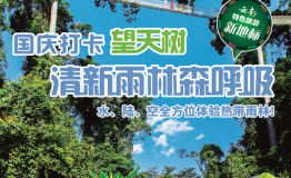 国庆打卡望天树，清新雨林森呼吸！